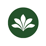 Ambong Rainforest Retreat